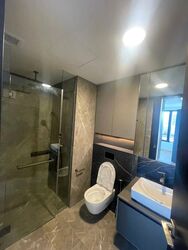 Irwell Hill Residences (D9), Apartment #496345061
